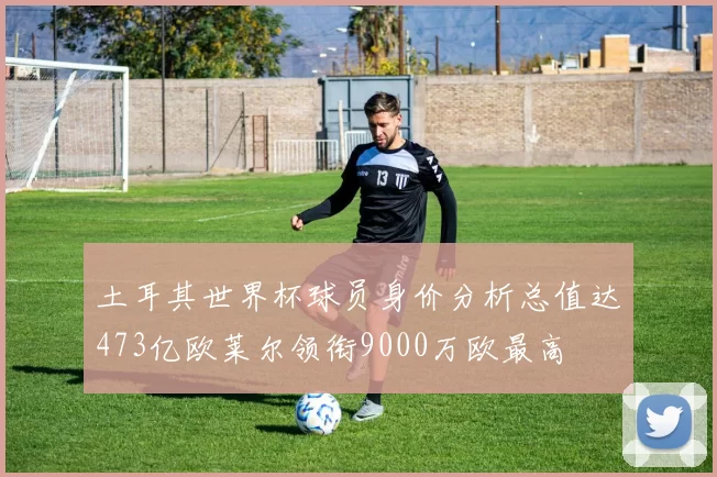 土耳其世界杯球员身价分析总值达473亿欧莱尔领衔9000万欧最高